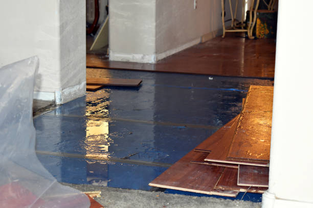Professional Water Damage Restoration technician working in Burlison, TN